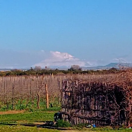 Vigna Di Pettineo - * Vittoria