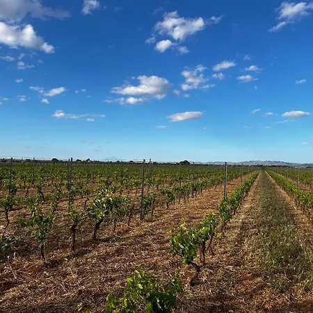 Vigna Di Pettineo - Lägenhet