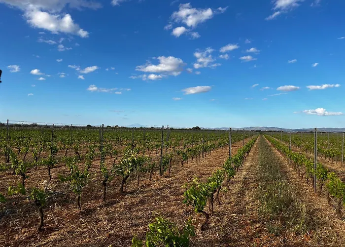 Vigna Di Pettineo - Appartement